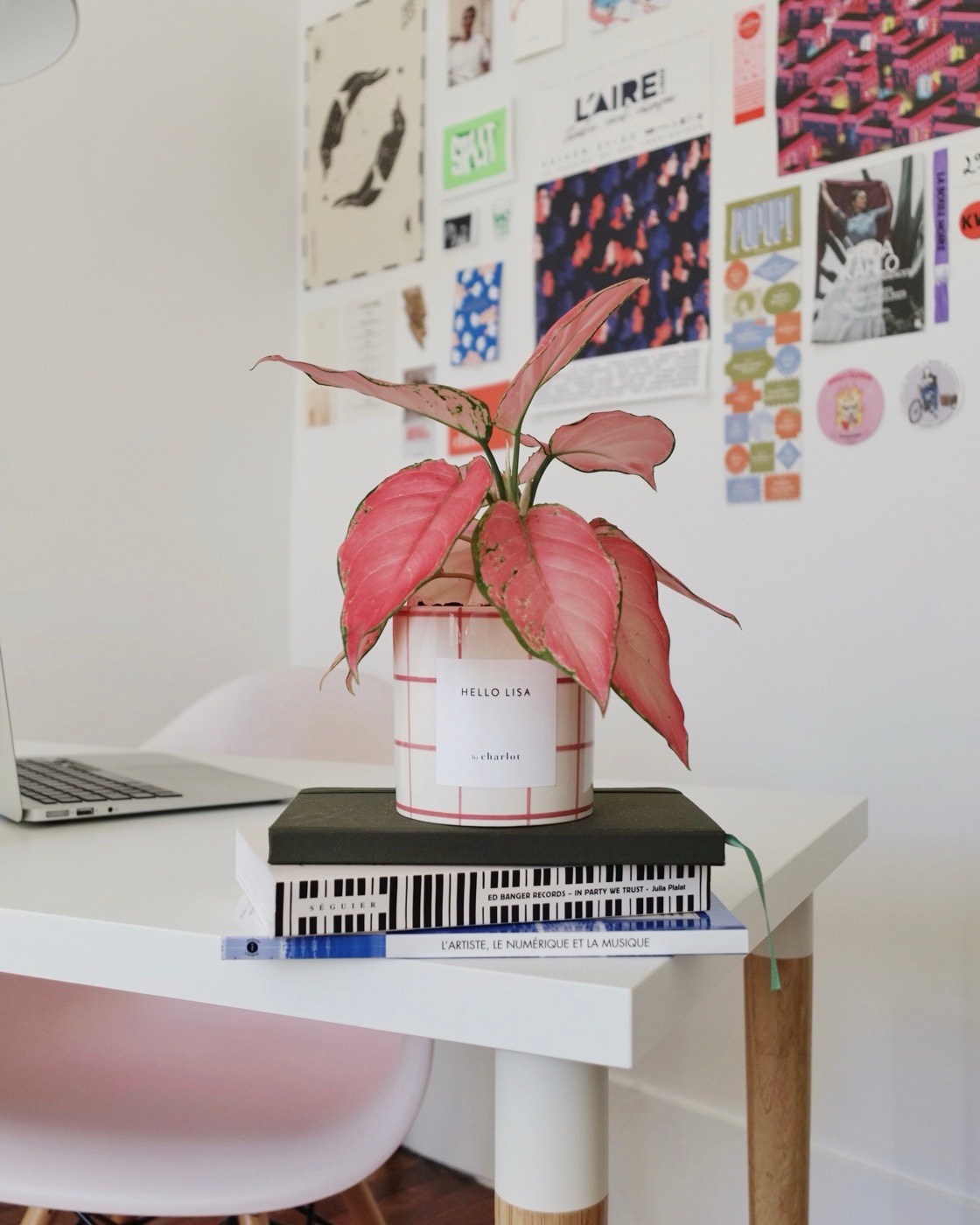 Une plante aux feuilles roses dans un pot Hello Lisa, posée sur une pile de livres, sur un bureau blanc devant un mur d’affiches.